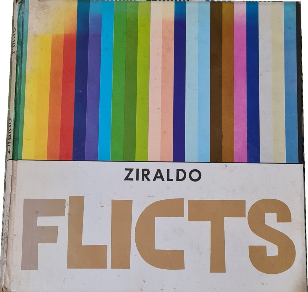 Buchcover von FLICTS